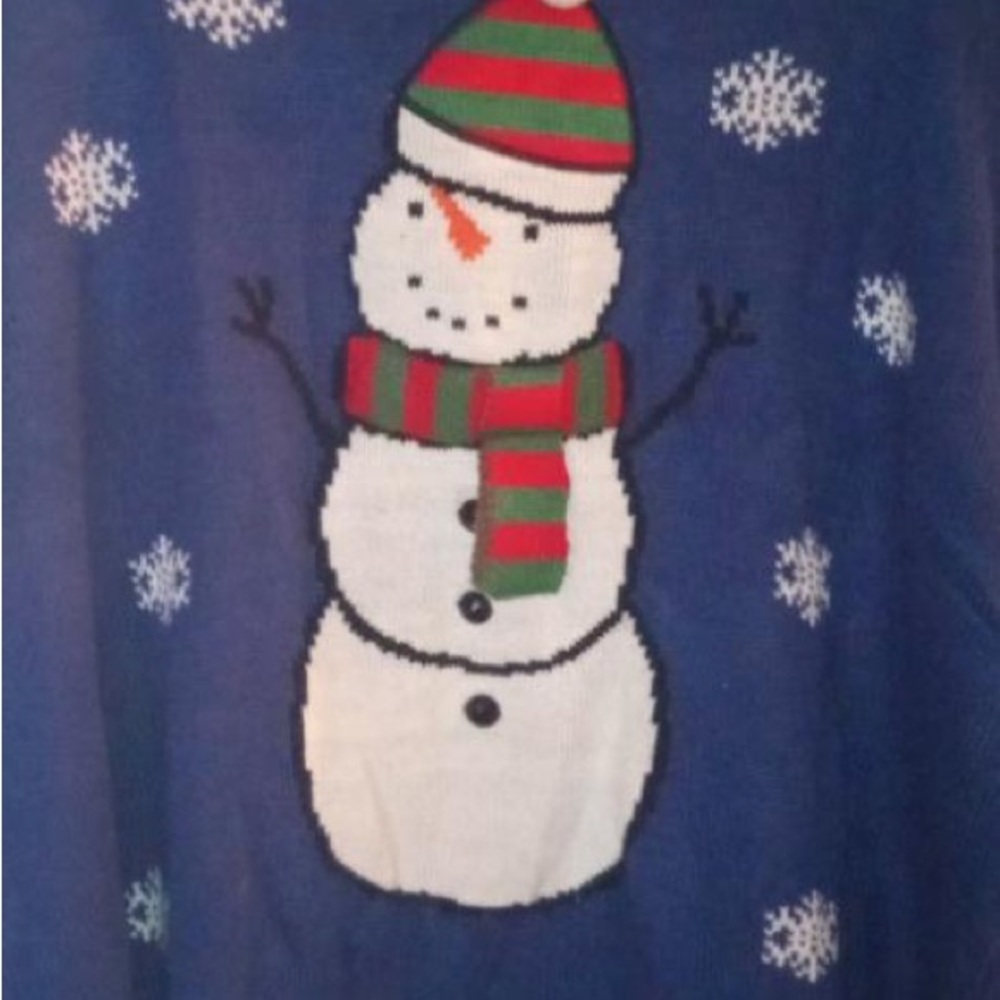 Karen Scott Christmas sweater size 2X